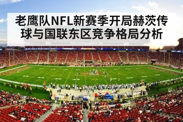 nfl football stadium action